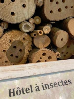 Fabrique d'un hôtel à insectes