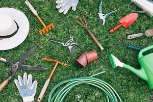 Les petits travaux du jardin