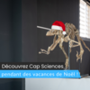 Découvrez le programme des vacances de Noël à Cap Sciences !