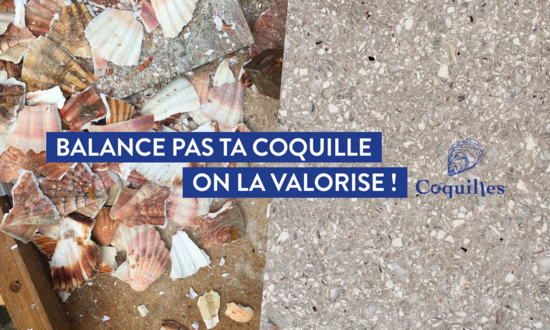 Balance pas ta coquille, on la valorise ! 