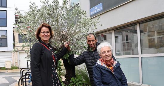 Natascha Conrad, Maher Ben Mhenni et Anne Konlein Balazard, trois habitants investis dans le projet, devant le bel olivier planté dans la rue