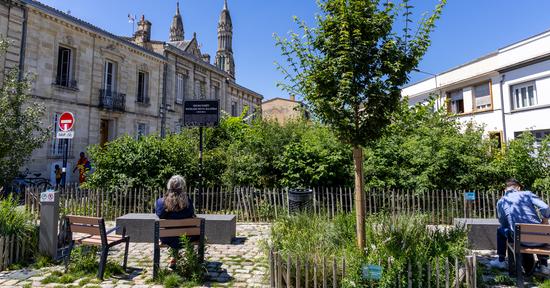 La micro-forêt Wangari-Muta-Maathai, plantée sur la placette Billaudel (quartier Sacré Coeur).