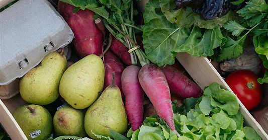 Des produits frais et locaux à portée de main