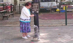 Promener son chien