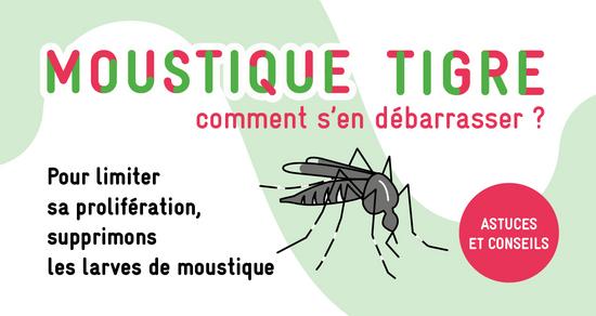 Moustiques, les conseils